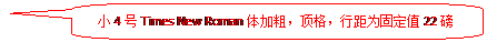 圆角矩形标注: 小4号Times New Roman体加粗，顶格，行距为固定值22磅