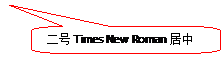 圆角矩形标注: 二号Times New Roman居中